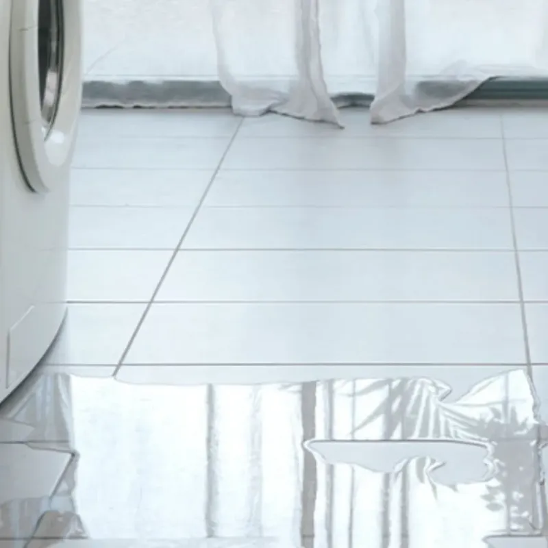 Appliance Leak Cleanup in Gregory, TX