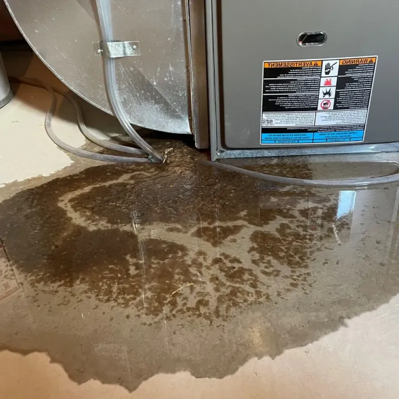 Pipe Burst and Leak Restoration in Gregory, TX