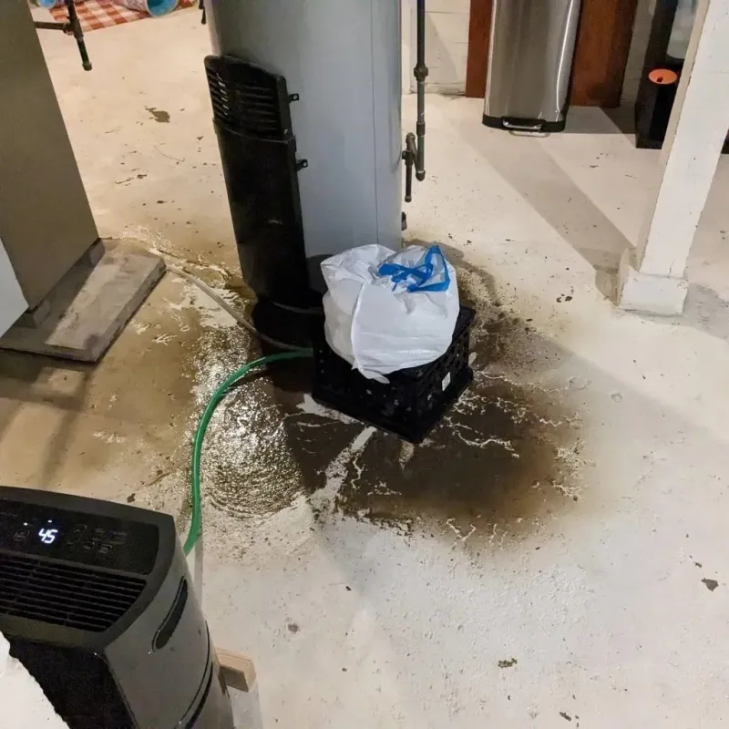 Sewage Backup Cleanup Service in Gregory, TX